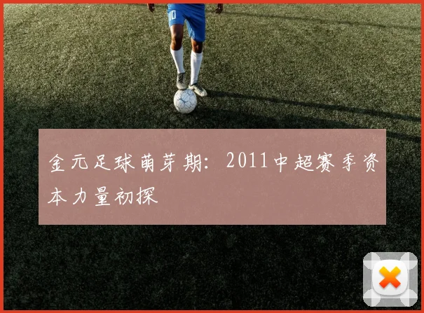 金元足球萌芽期：2011中超赛季资本力量初探