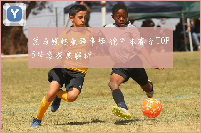 黑马崛起豪强争锋 德甲本赛季TOP5阵容深度解析