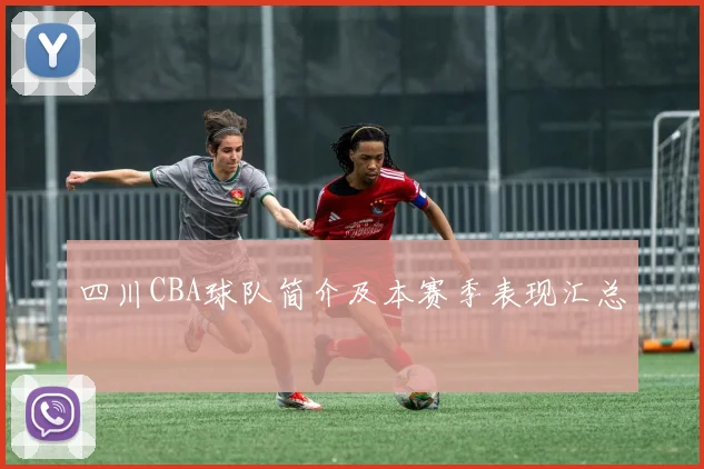 四川CBA球队简介及本赛季表现汇总