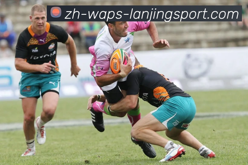 蓝鲸体育发展历程